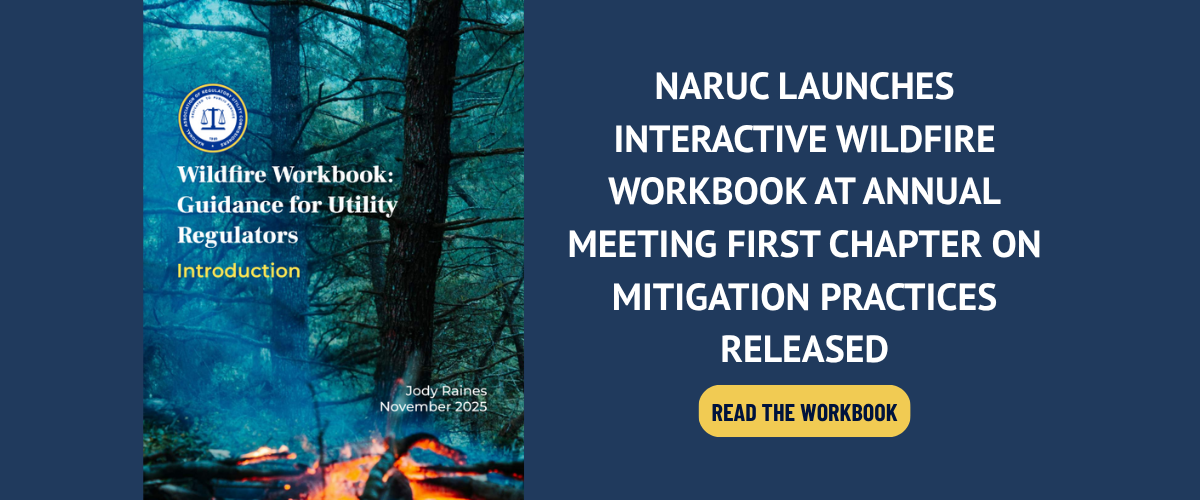 NARUC Launches Interactive Wildfire Workbook at Annual Meeting