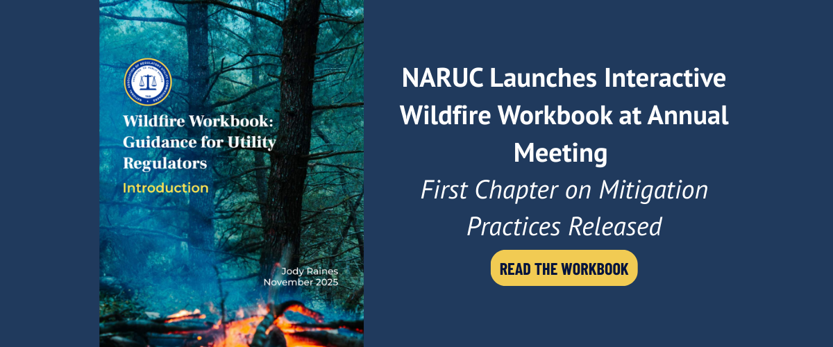 NARUC Launches Interactive Wildfire Workbook at Annual Meeting